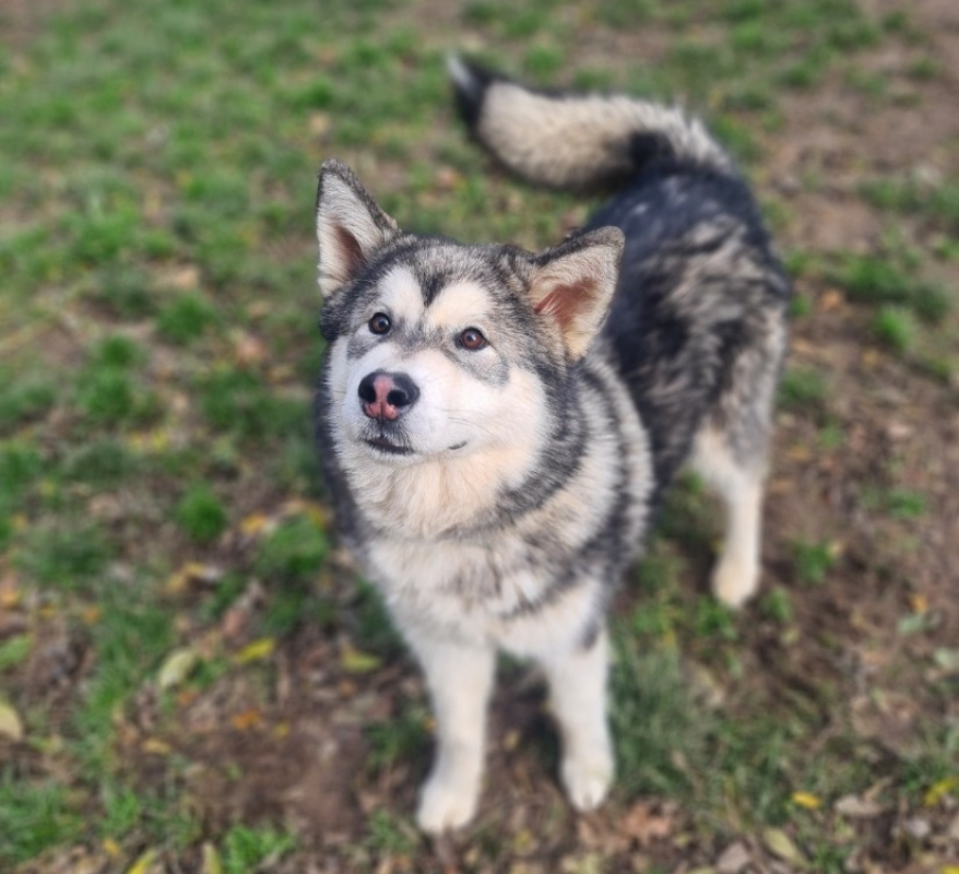 Photo #1 de Alain reserve