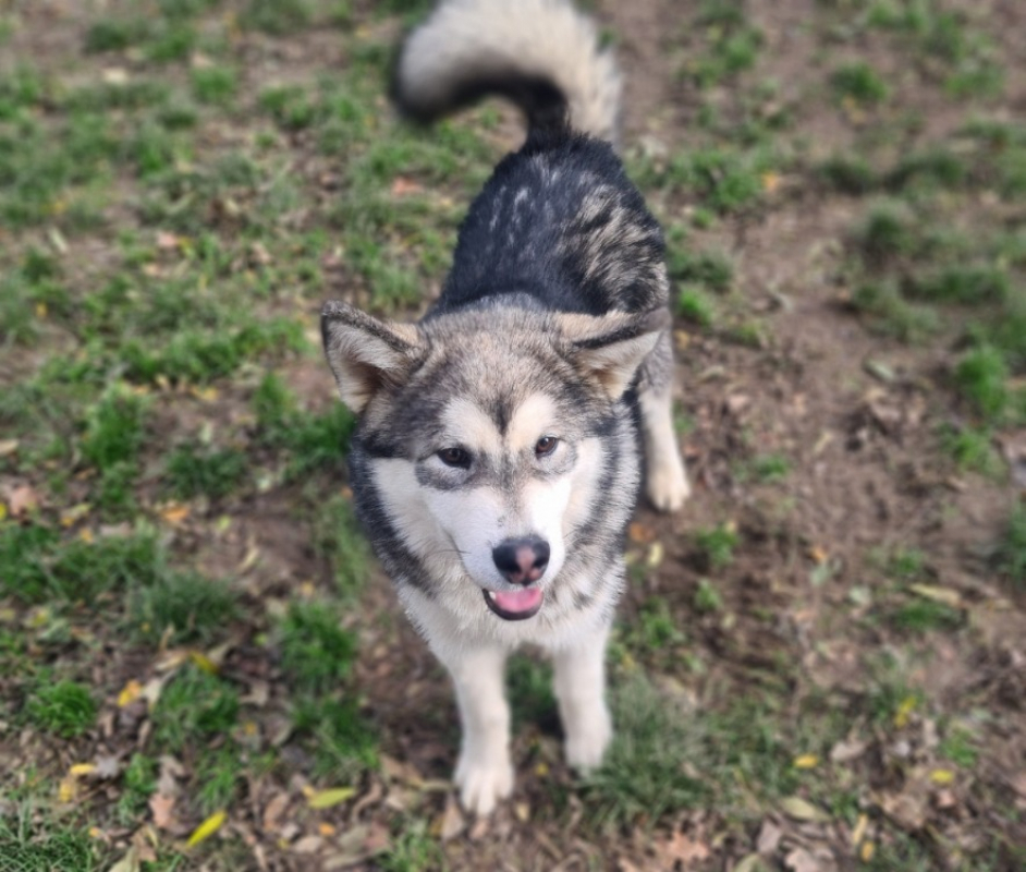 Photo #2 de Alain reserve