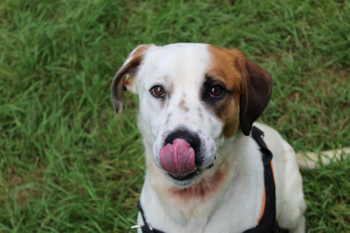 Photo #4 de Spoutnik