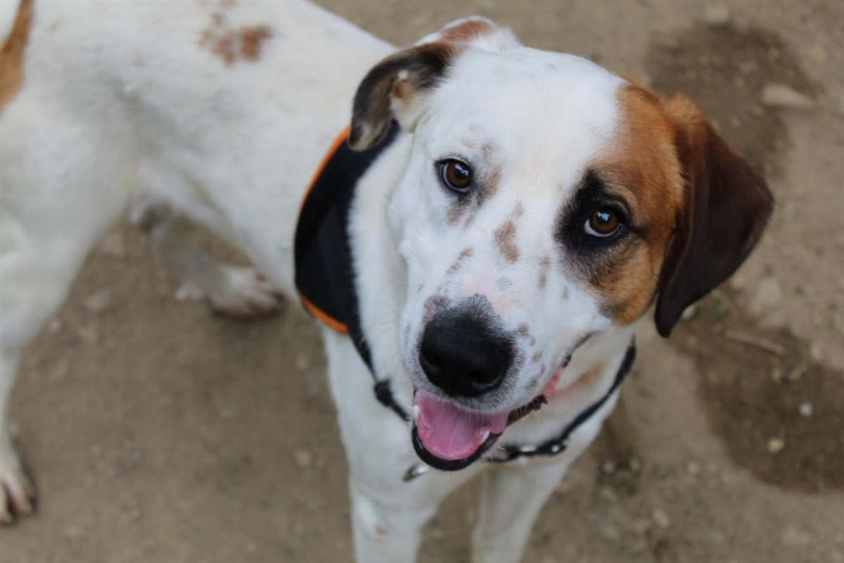 Photo #5 de Spoutnik