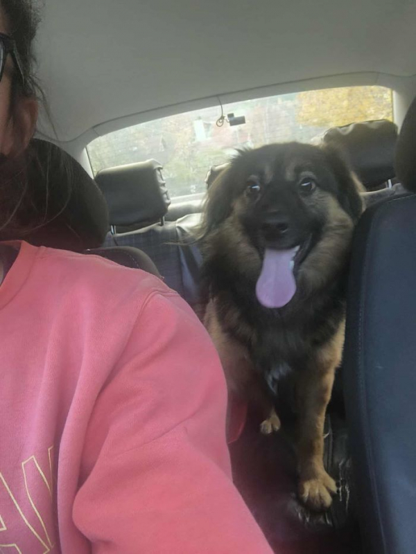 Photo #1 de Don Diego 