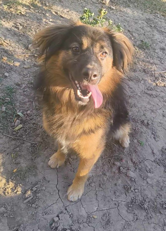 Photo #2 de Don Diego 