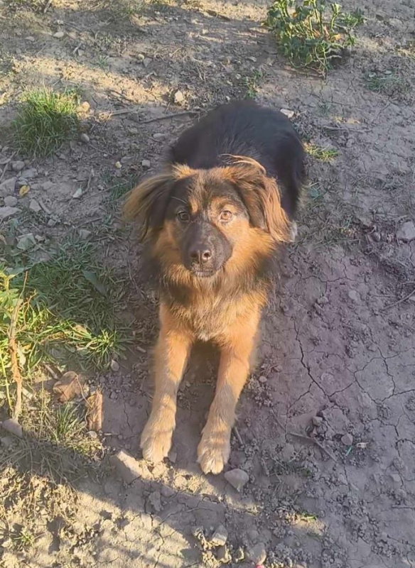 Photo #3 de Don Diego 