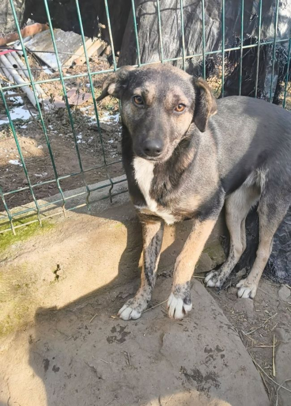 Photo #10 de ARMANDE 