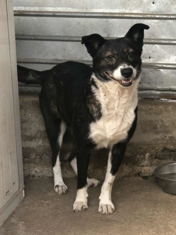 Photo #3 de Providia 