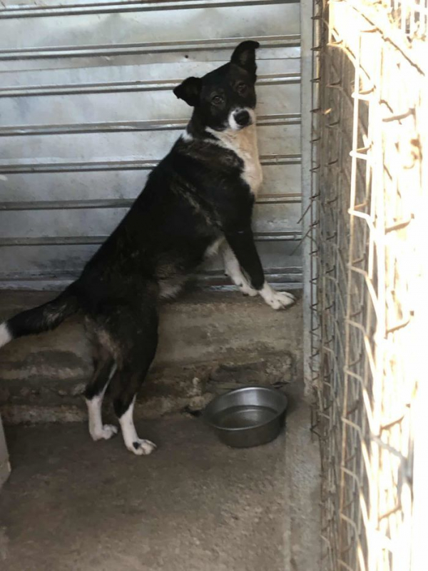 Photo #1 de Providia 