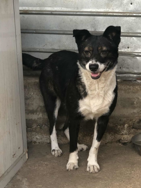 Photo #2 de Providia 