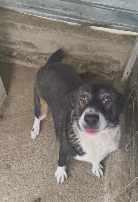 Photo #4 de Providia 