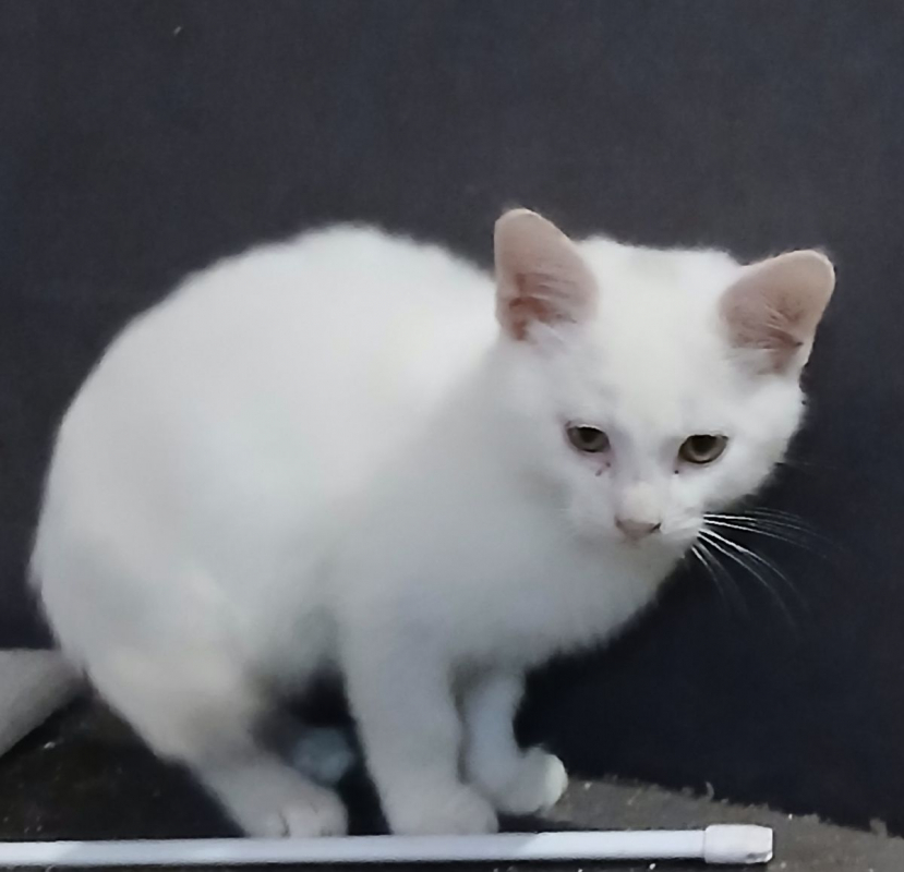 Photo #3 de Bounty 1 et 2