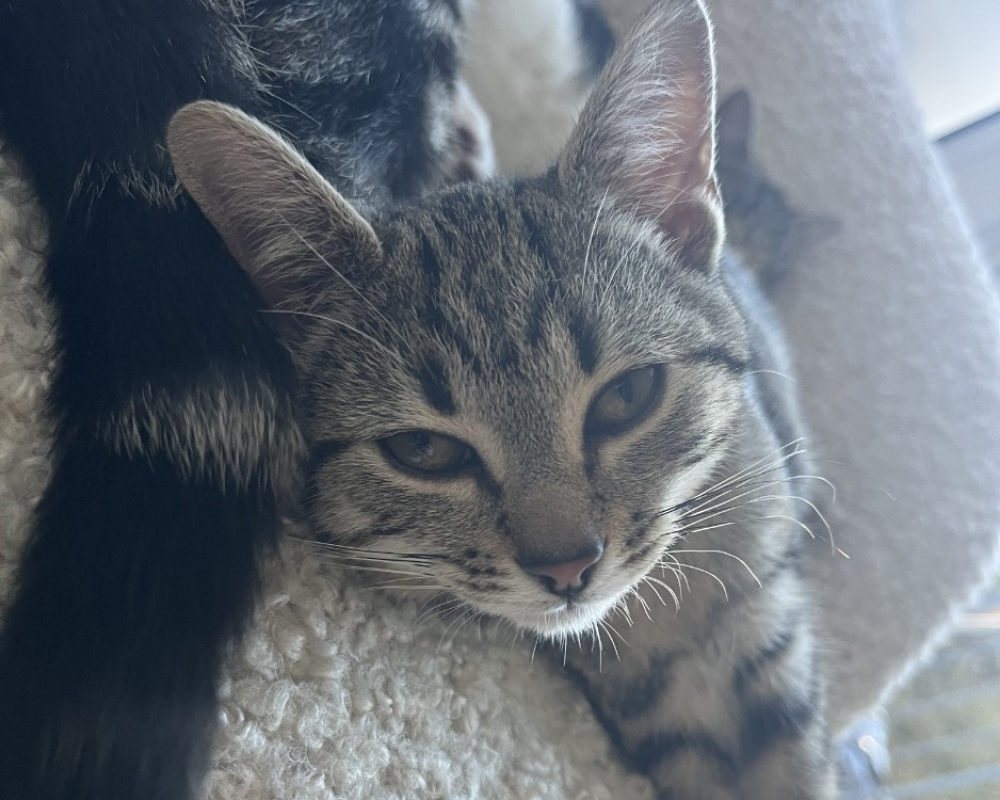 Photo de Tchikita loca