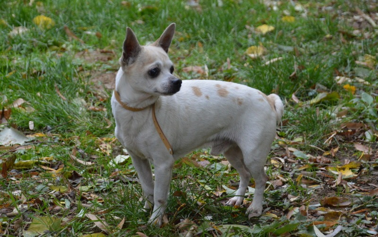 Photo #2 de Yourgette