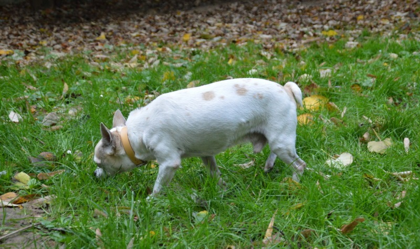 Photo #3 de Yourgette