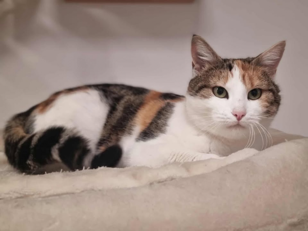 Photo #1 de Theodora