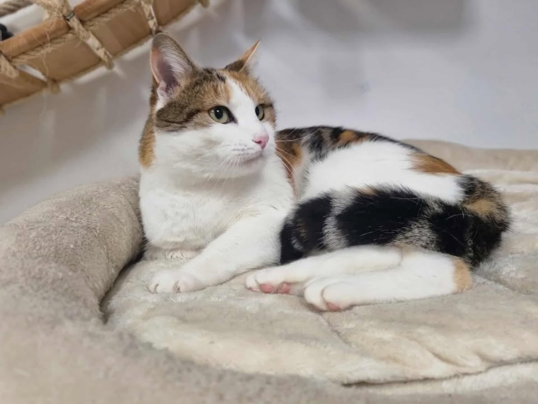 Photo #2 de Theodora