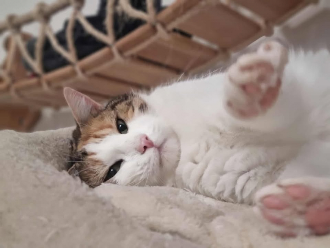 Photo #3 de Theodora