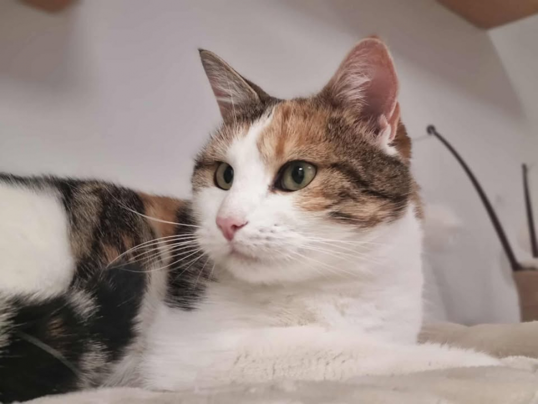 Photo #4 de Theodora