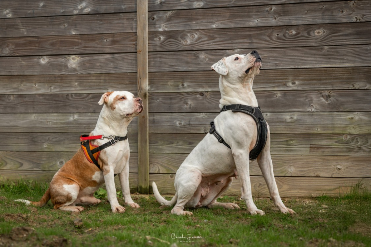 Photo #2 de Alderaan