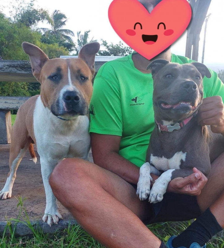 Photo #4 de BALOU