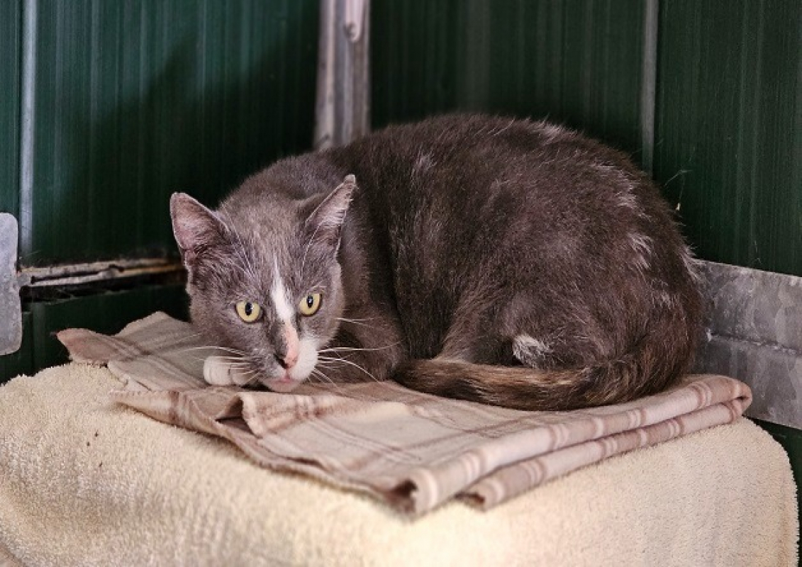 Photo #1 de Ana'belle