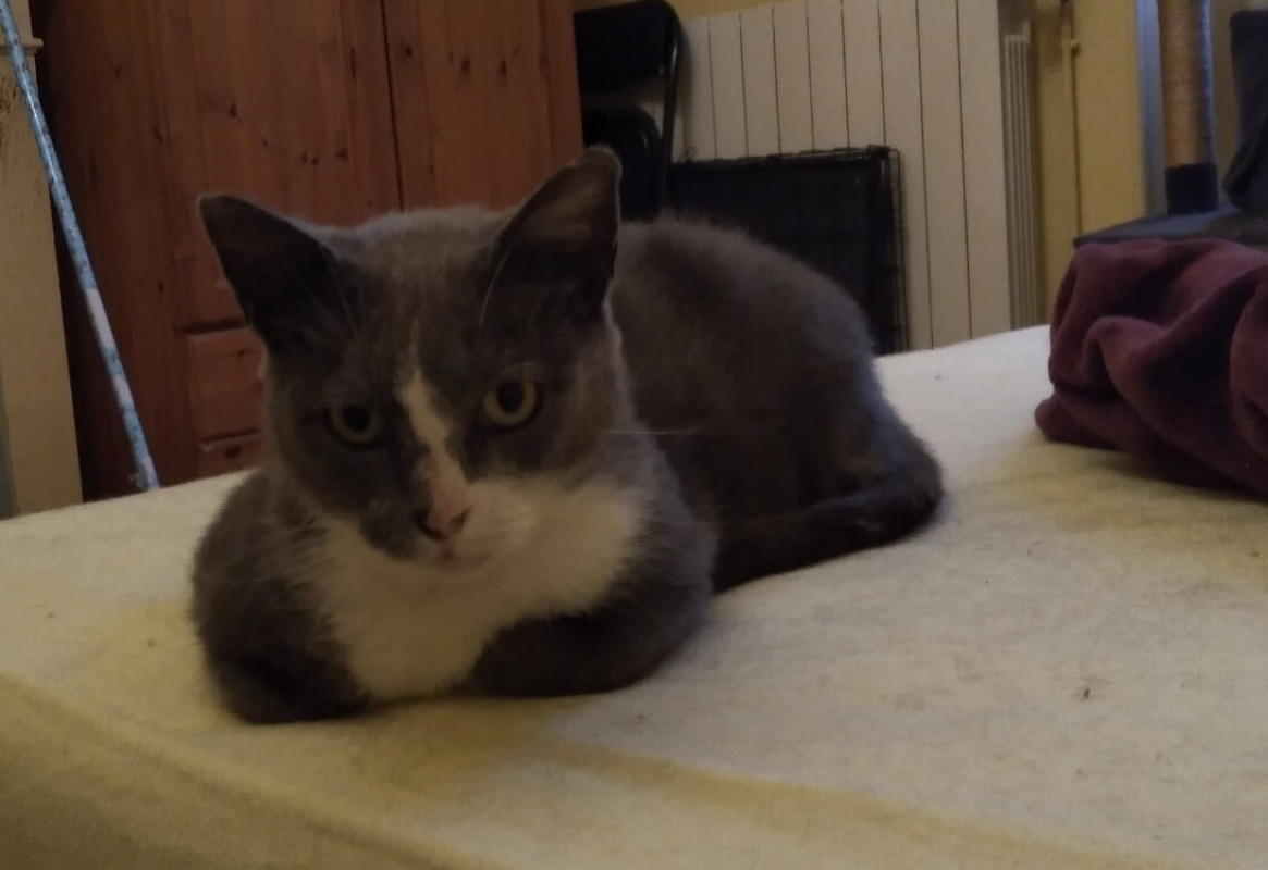 Photo #2 de Ana'belle