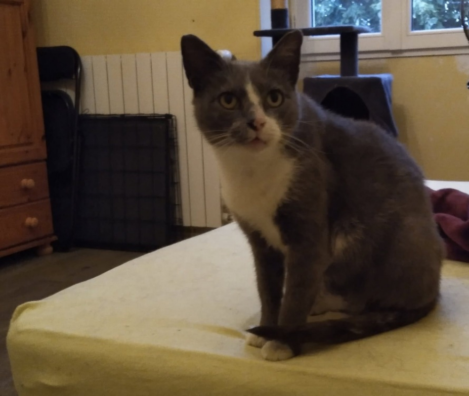 Photo #3 de Ana'belle