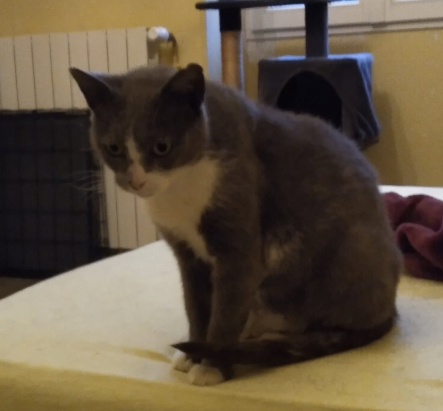 Photo #4 de Ana'belle