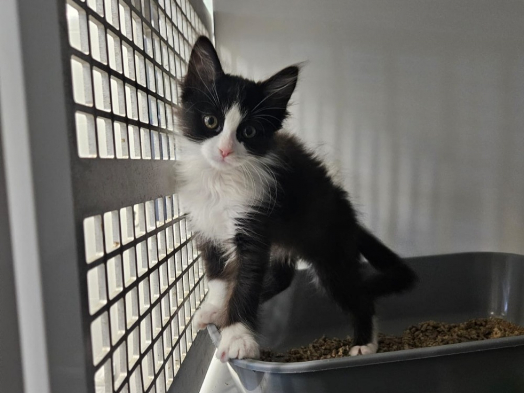 Photo de Tac *réservé*