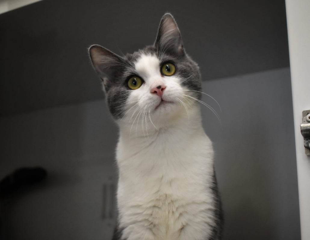 Photo #1 de Filae *réservé*