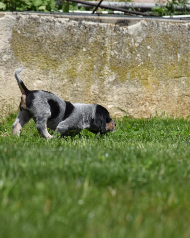 Photo #4 de Actarus