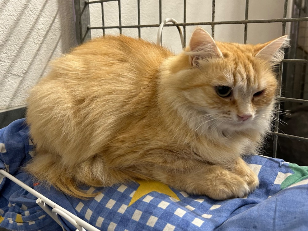 Photo #2 de P'tit fantome