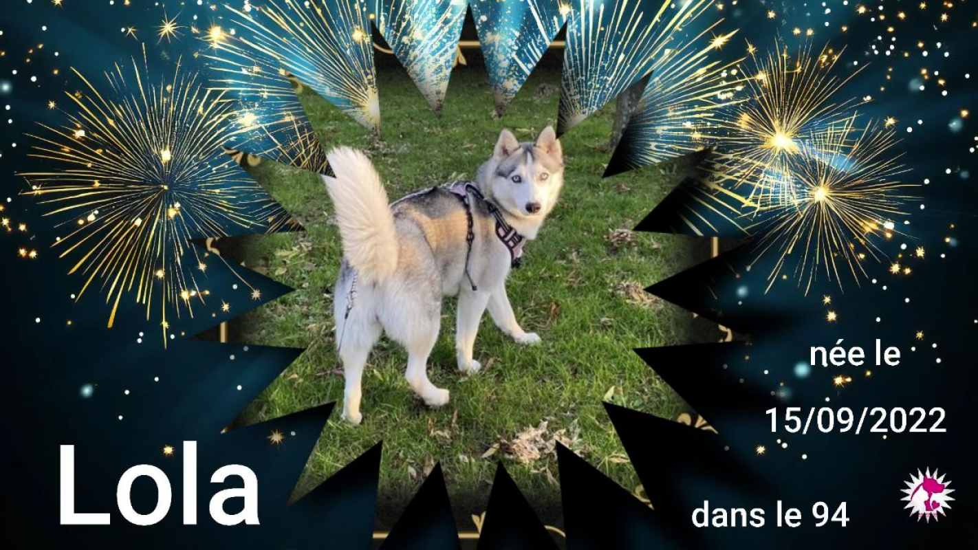 Photo de Lola