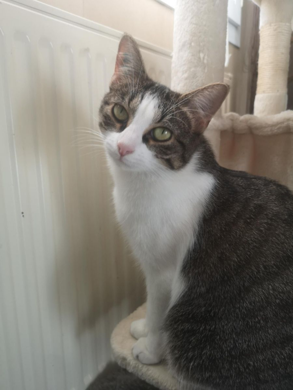 Photo #1 de Mia & Moka