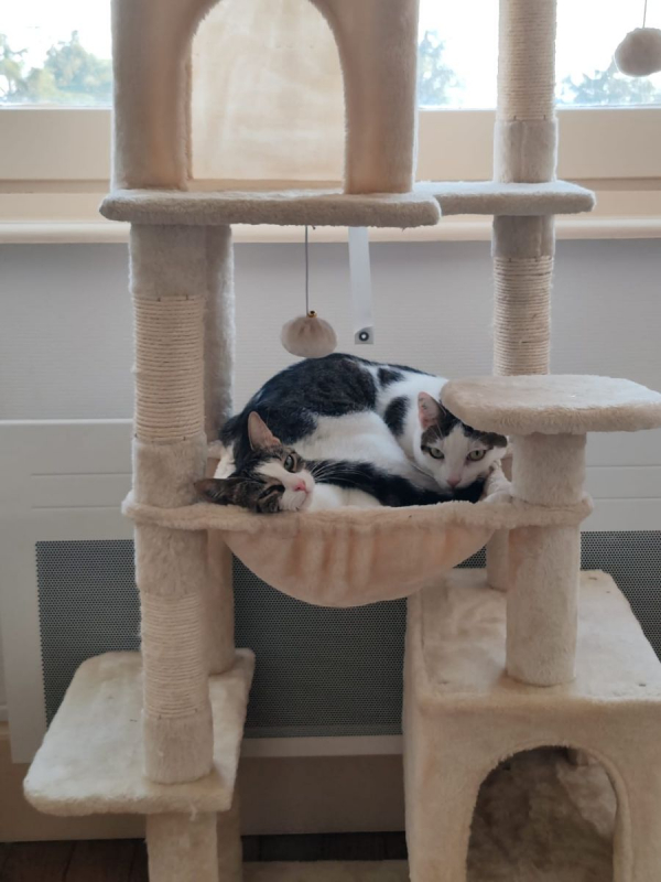 Photo #2 de Mia & Moka