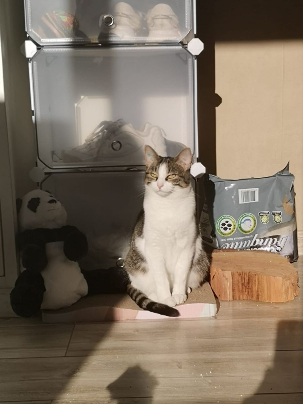 Photo #4 de Mia & Moka