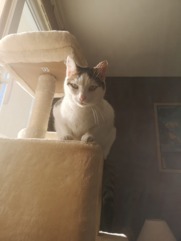 Photo #5 de Mia & Moka