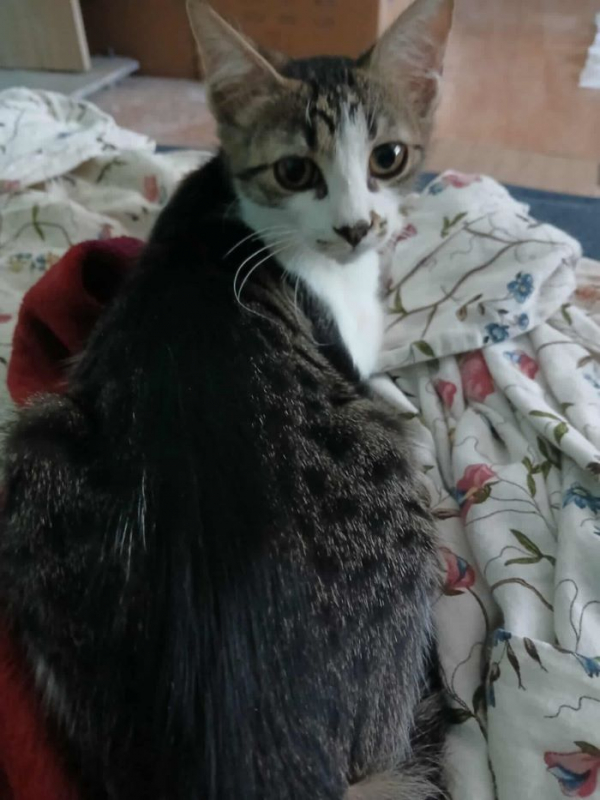 Photo #1 de Juliette 