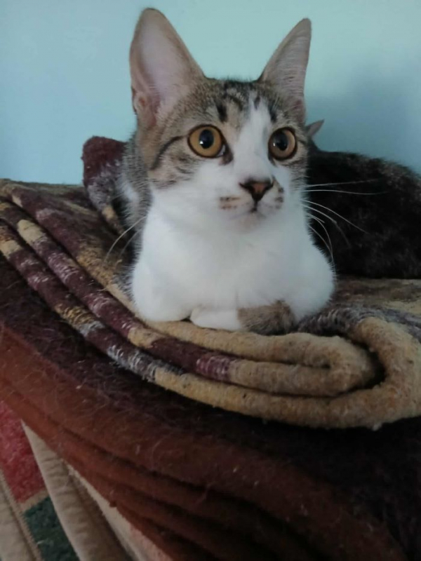 Photo #2 de Juliette 