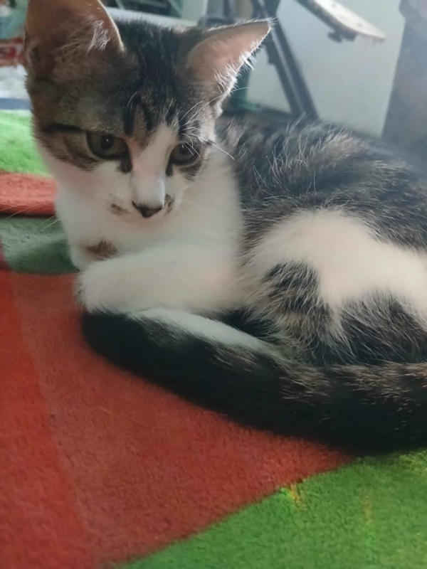 Photo #3 de Juliette 