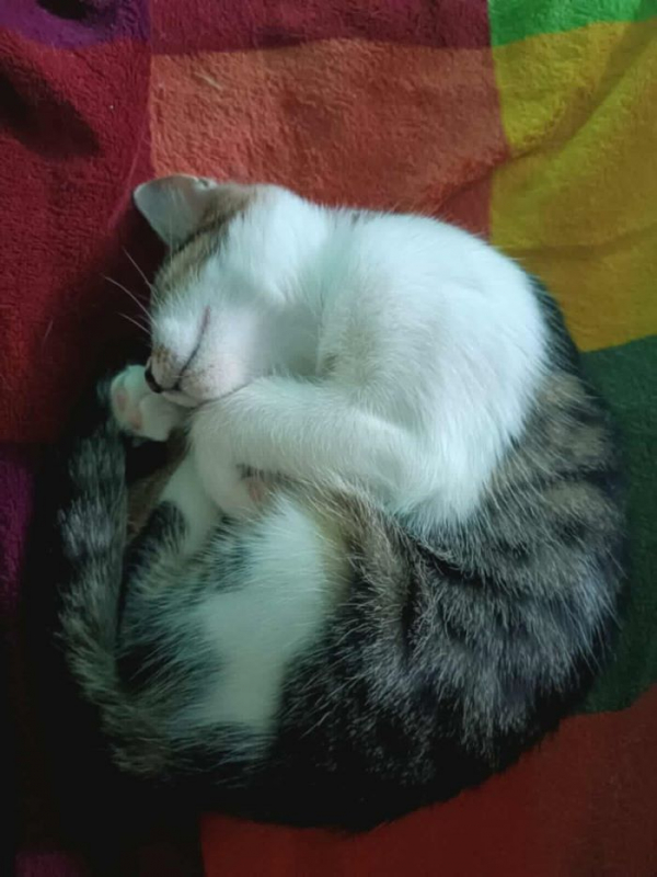 Photo #4 de Juliette 