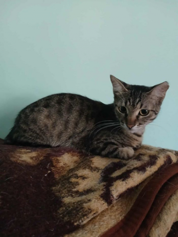 Photo #1 de MARIETTE 