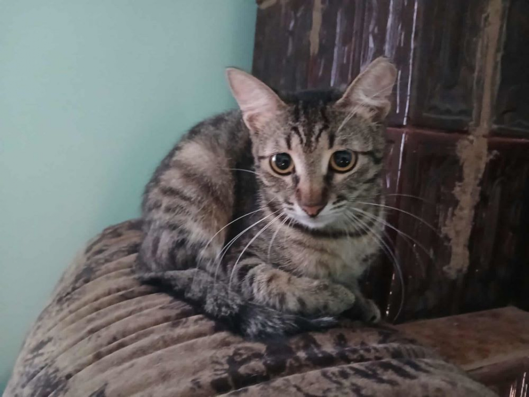 Photo #2 de MARIETTE 