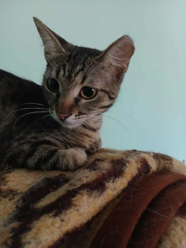 Photo #3 de MARIETTE 