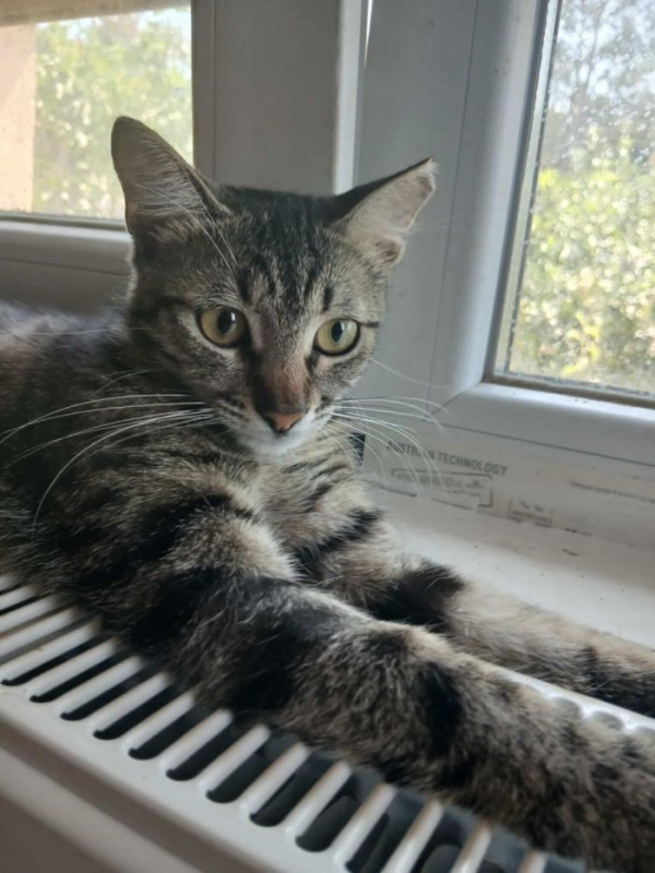 Photo #4 de MARIETTE 