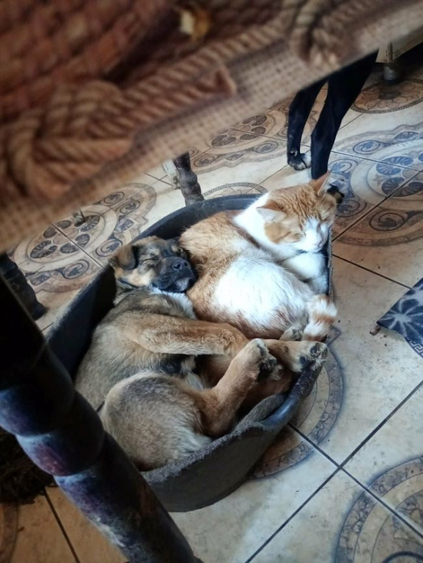 Photo #1 de Sebastian 