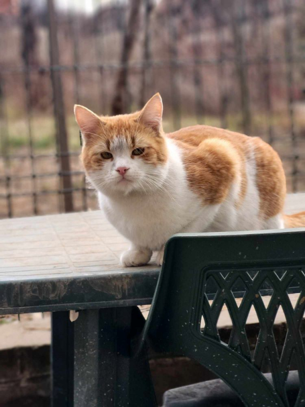 Photo #1 de Sebastian 