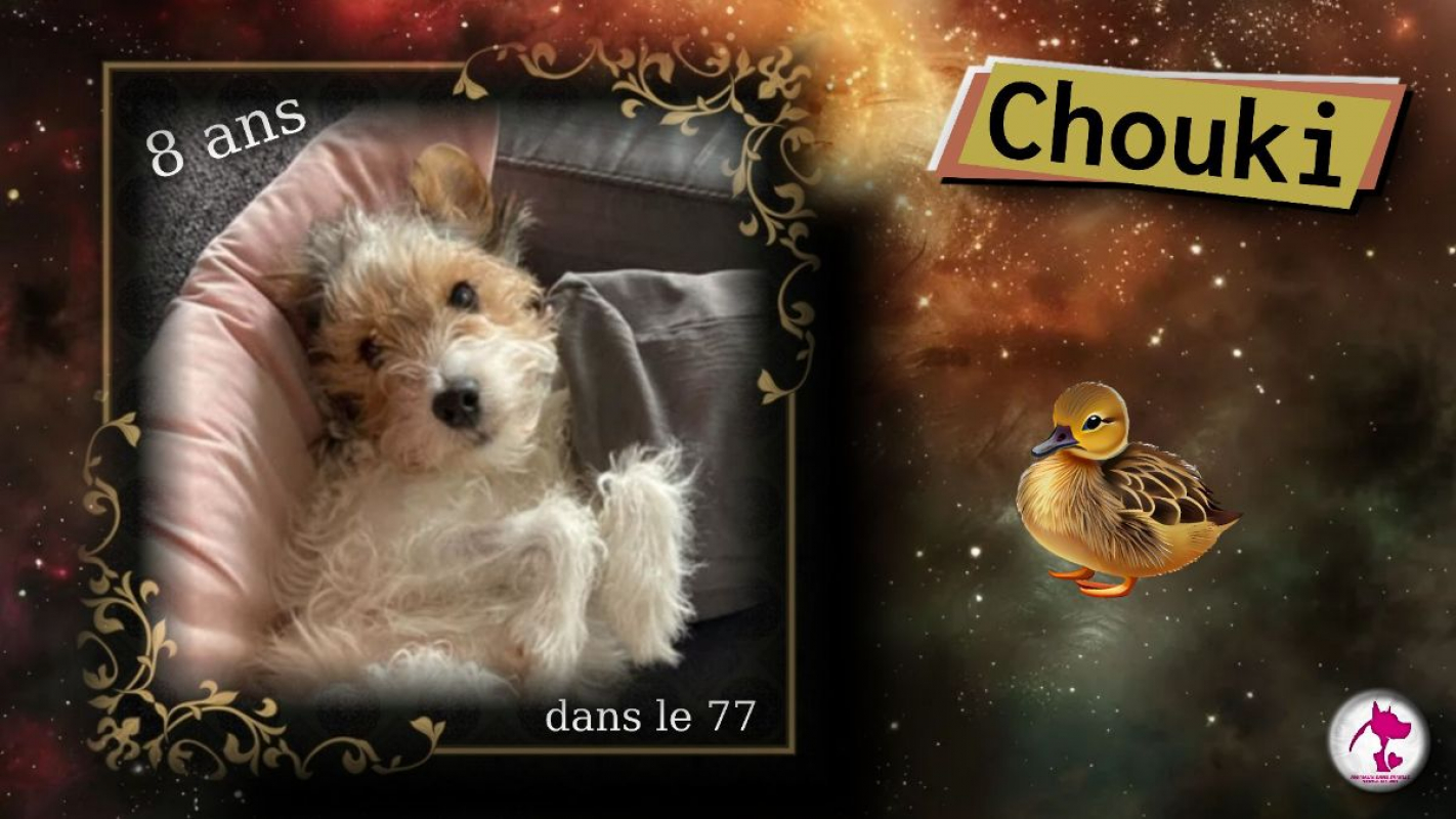Photo de Chouki