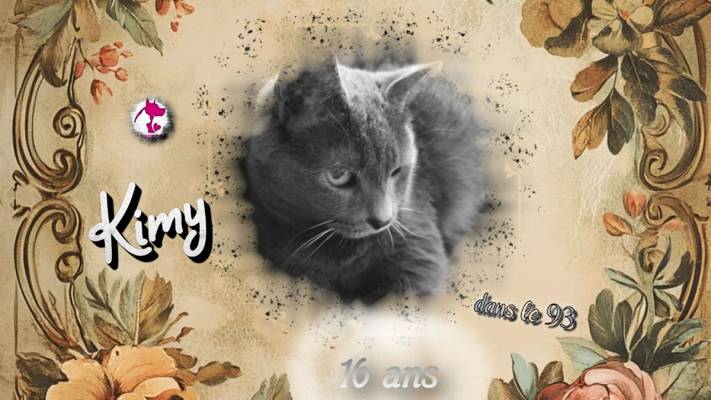 Photo de Kimy
