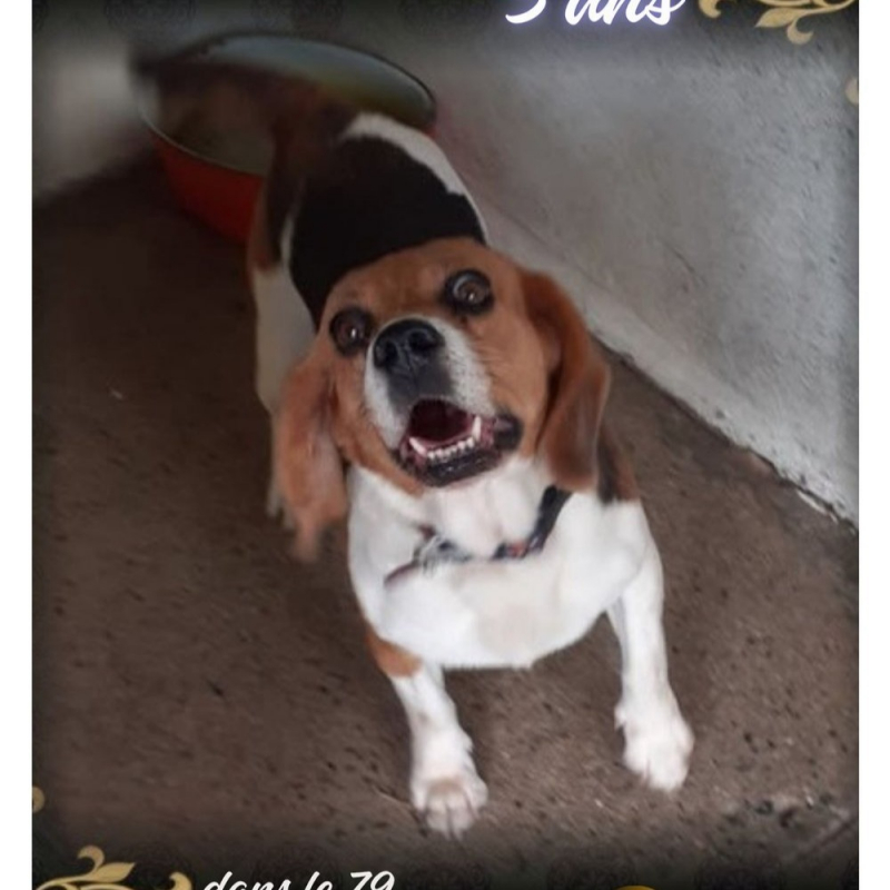Photo de Lola