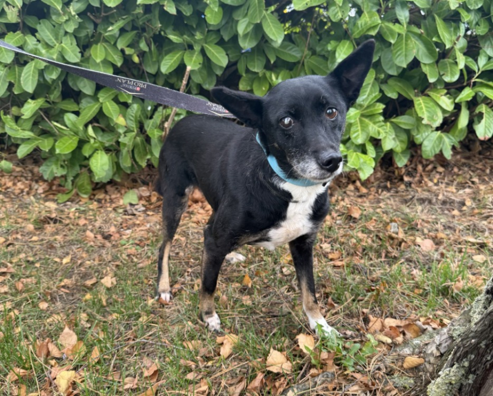 Photo #1 de Fedorovna