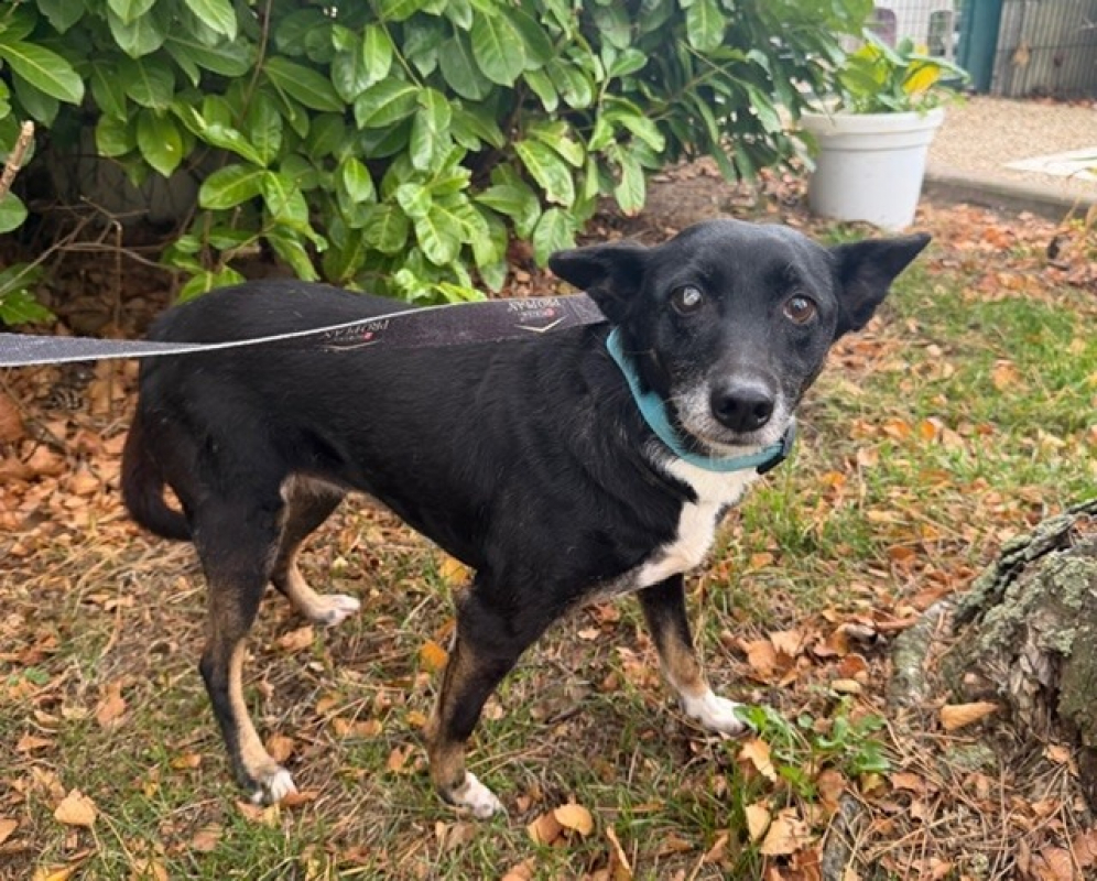 Photo #2 de Fedorovna